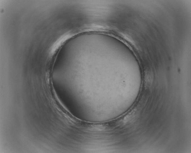 X0000062891455200602031755