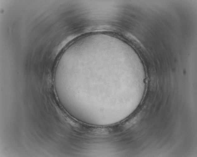 X0000062891457200602031755