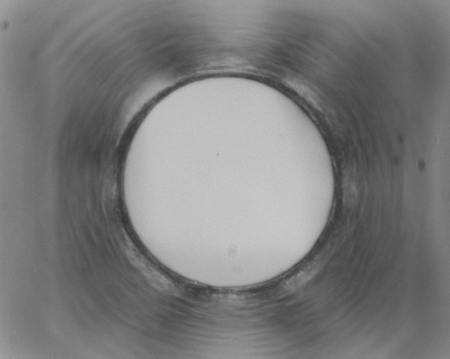 X0000062891458200602031755