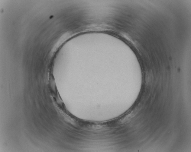 X0000062891459200602031755