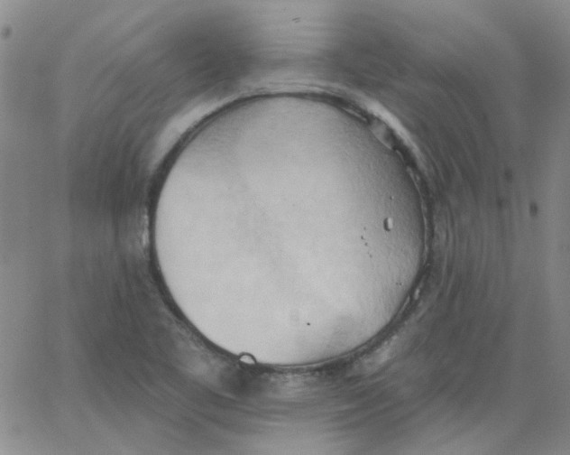 X0000062891461200602031755