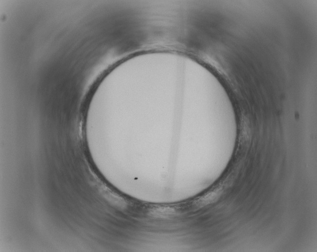 X0000062891462200602031755