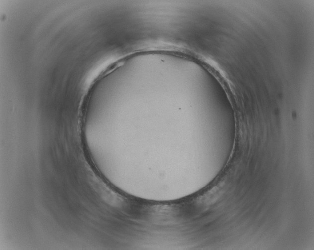 X0000062891463200602031755