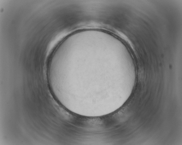 X0000062891464200602031755