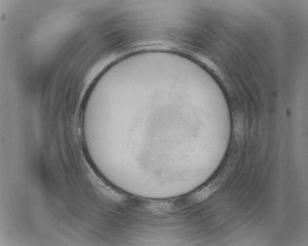 X0000062891466200602031755