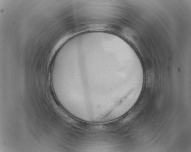 X0000062891467200602031755