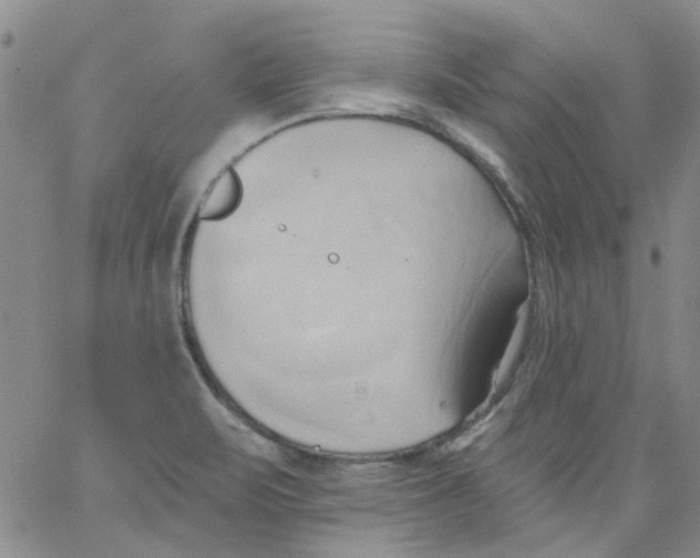 X0000062891471200602031755