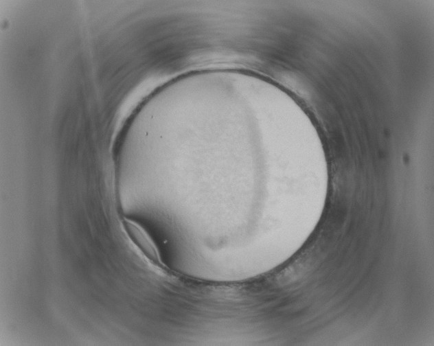 X0000062891472200602031755