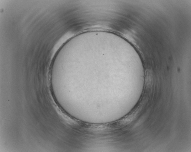 X0000062891474200602031755