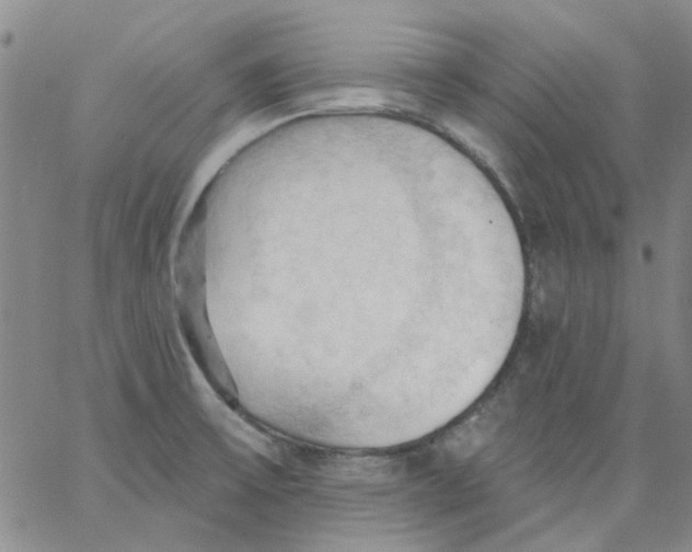 X0000062891475200602031755