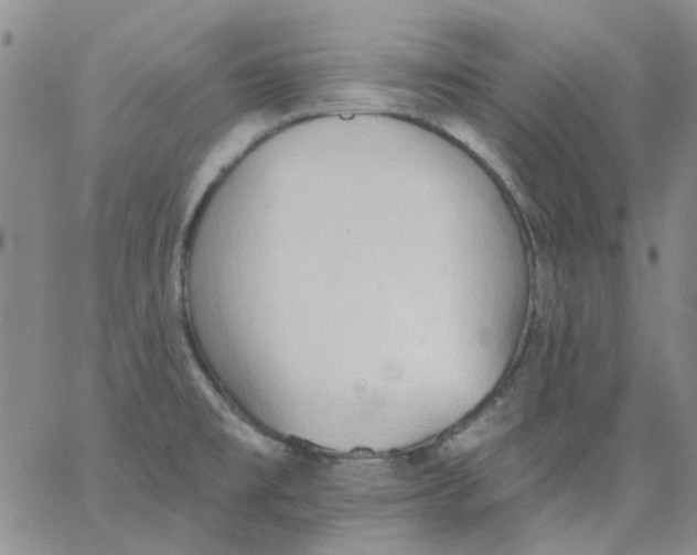 X0000062891477200602031755