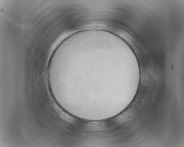 X0000062891478200602031755