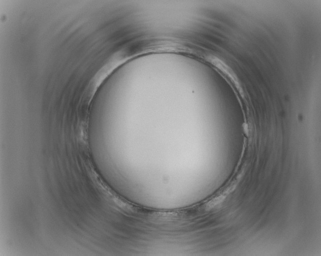 X0000062891481200602031755