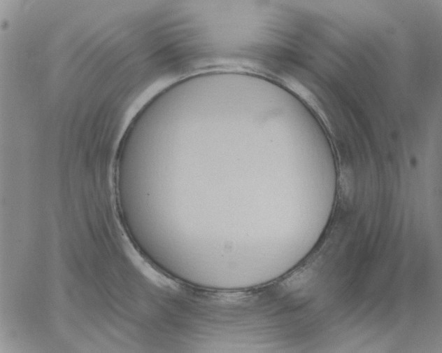 X0000062891482200602031755