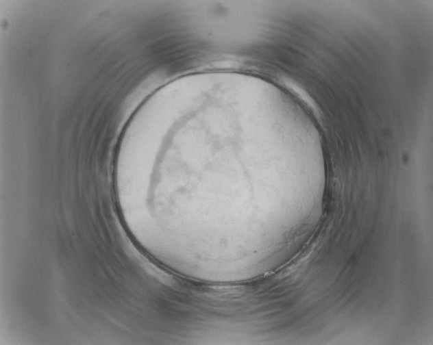 X0000062891483200602031755