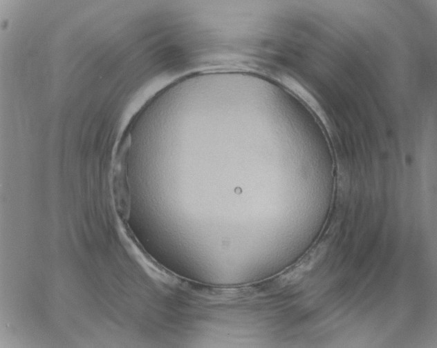 X0000062891485200602031755