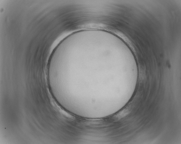 X0000062891486200602031755