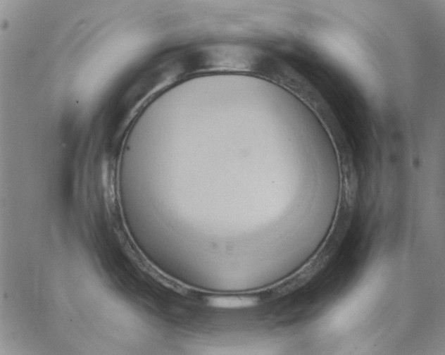 X0000062891487200602031755