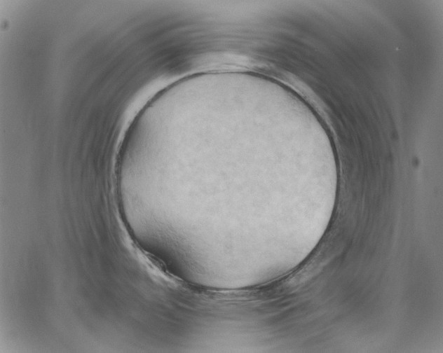 X0000062891488200602031755