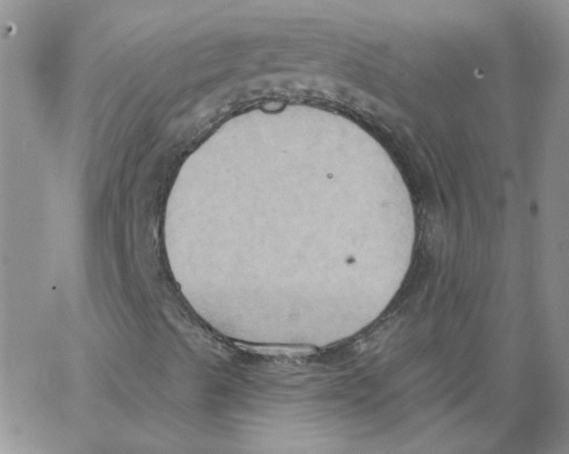 X0000062891489200602031754