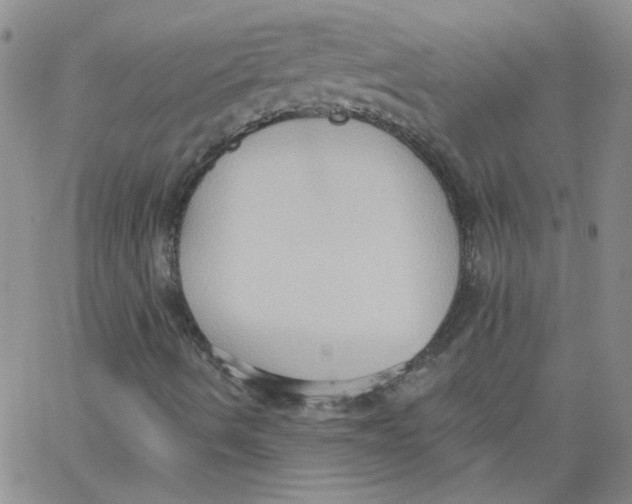 X0000062891490200602031754