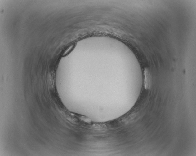 X0000062891491200602031754