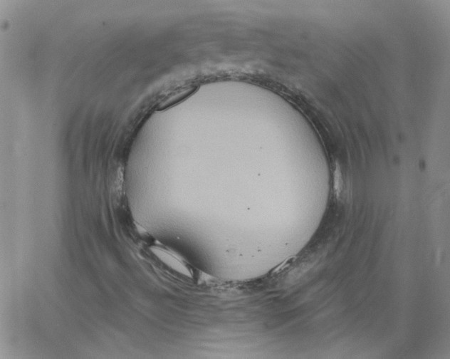 X0000062891492200602031754