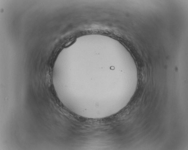 X0000062891493200602031754