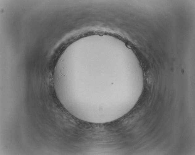 X0000062891495200602031754