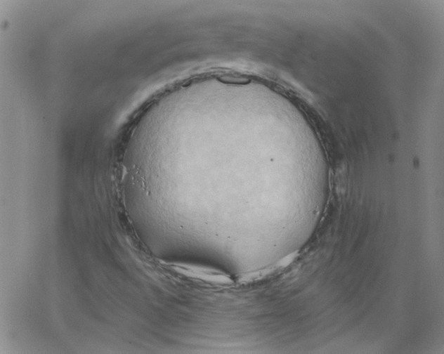 X0000062891496200602031754