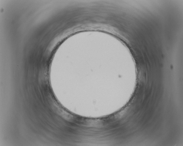 X0000062891498200602031754