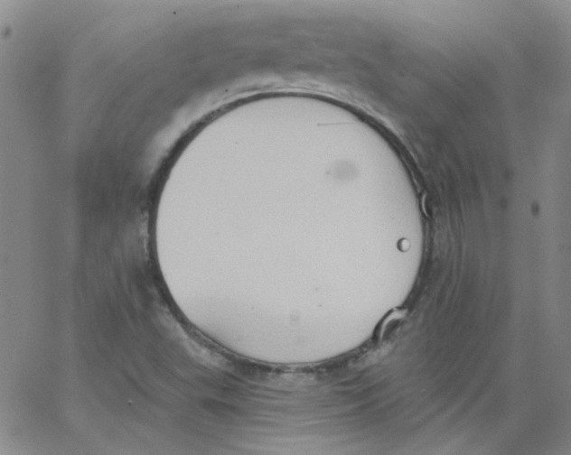 X0000062891503200602031754