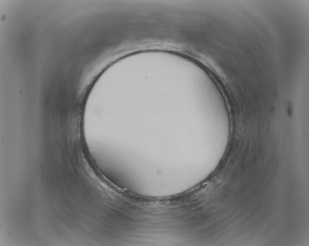 X0000062891504200602031754