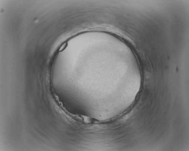 X0000062891506200602031754