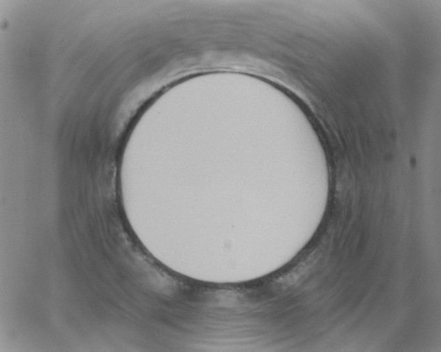 X0000062891507200602031754