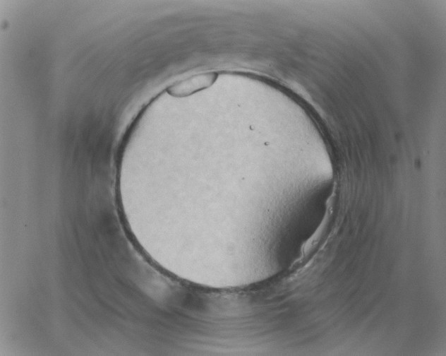 X0000062891508200602031754