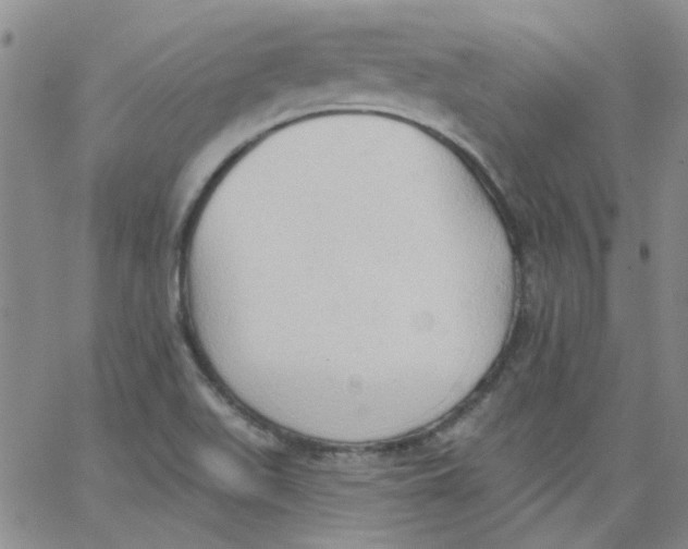 X0000062891511200602031754