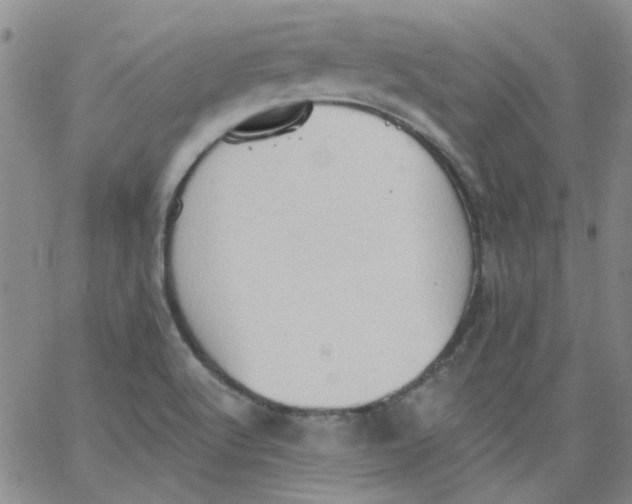 X0000062891512200602031754