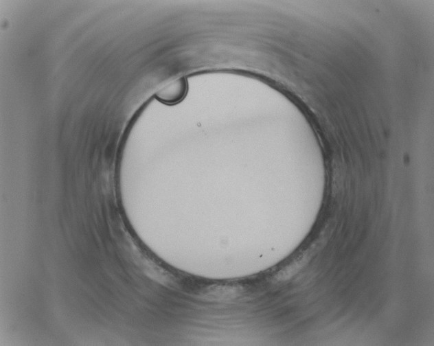 X0000062891513200602031754