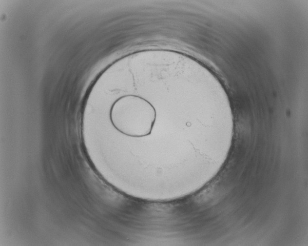 X0000062891514200602031754