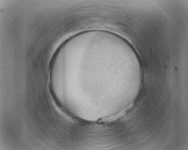 X0000062891515200602031754