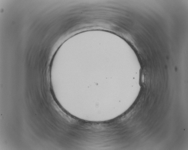 X0000062891516200602031754