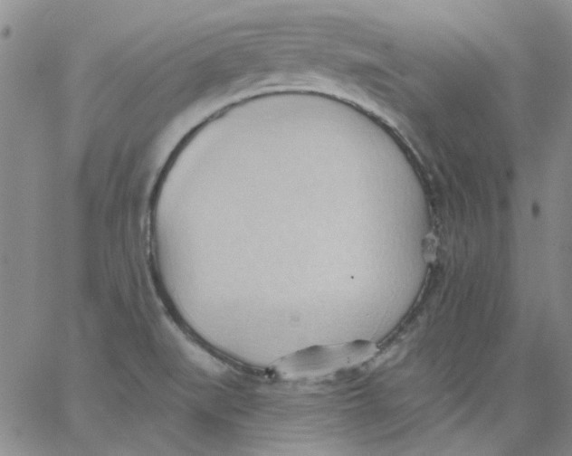 X0000062891519200602031754