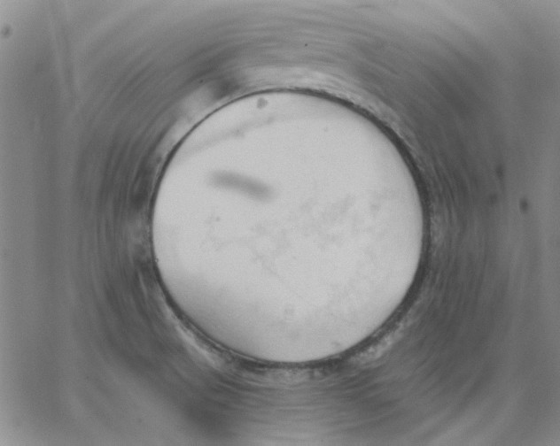 X0000062891521200602031754