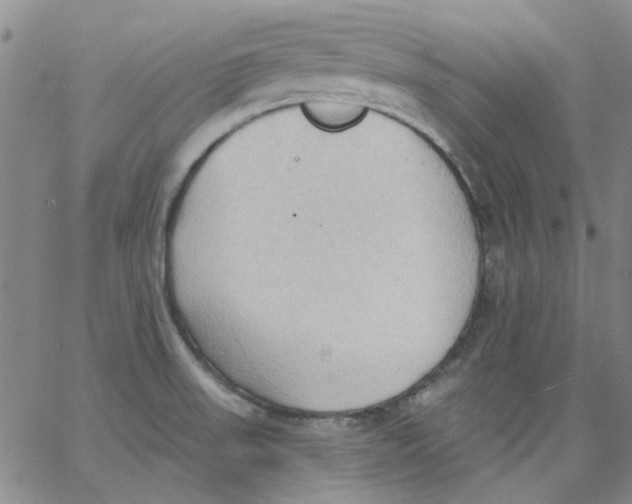 X0000062891523200602031754