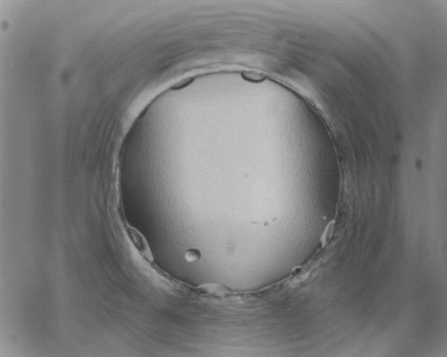 X0000062891524200602031754