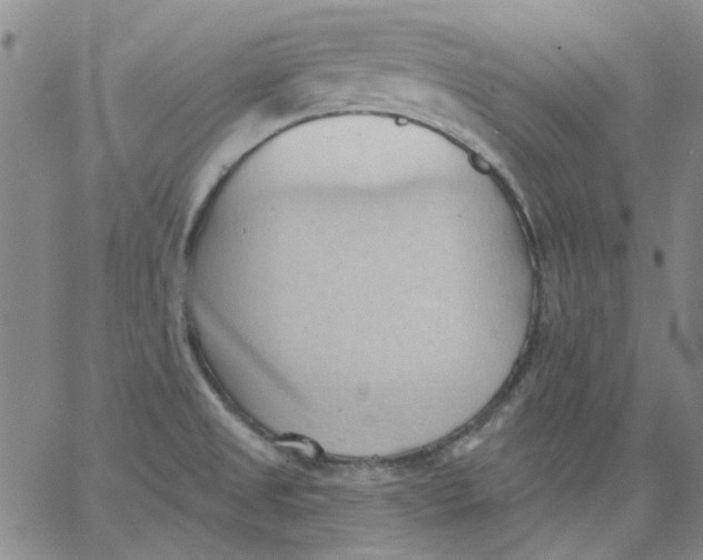 X0000062891525200602031754