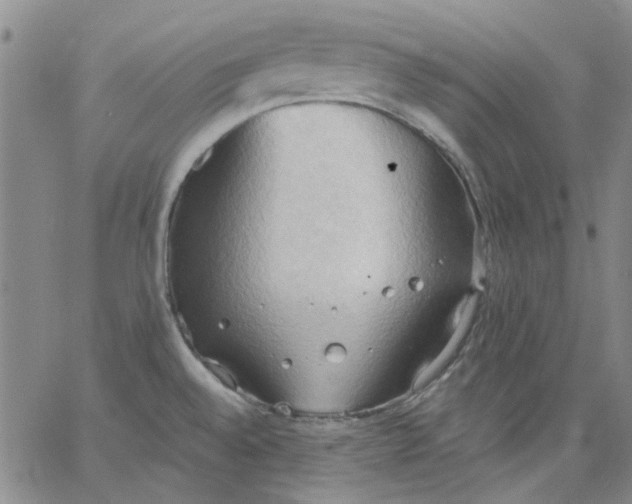 X0000062891528200602031754