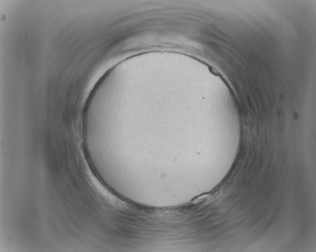 X0000062891531200602031754