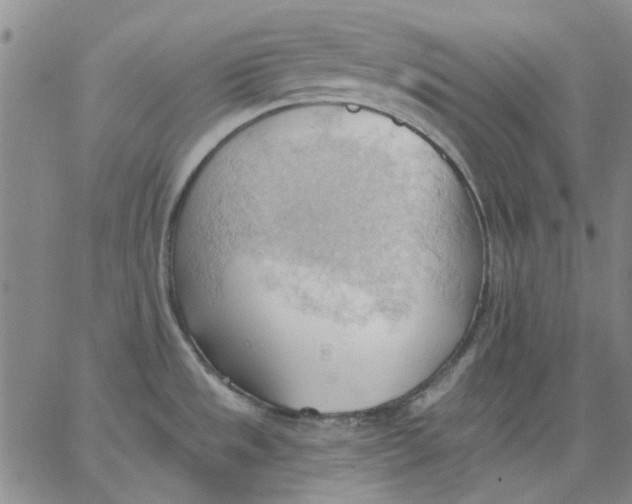 X0000062891533200602031754